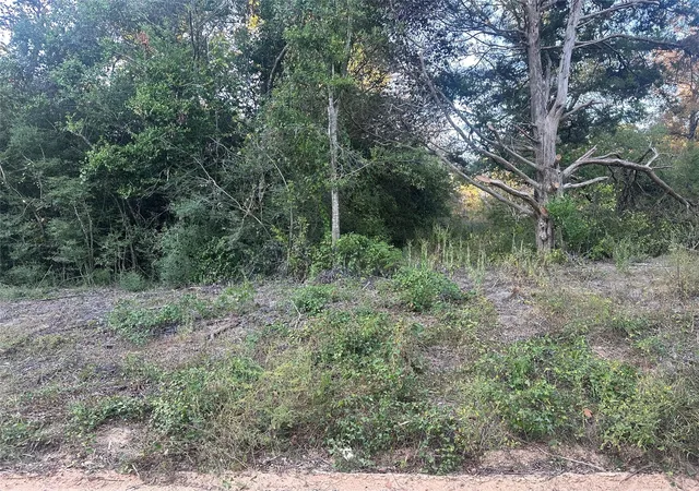 Photo 2 of Sale Pending at 676 Patricia Dr, Livingston, TX 77351 | MLS# 72841963 | Listing updated on 2026-08-05