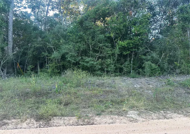 Photo 3 of Sale Pending at 676 Patricia Dr, Livingston, TX 77351 | MLS# 72841963 | Listing updated on 2026-08-05