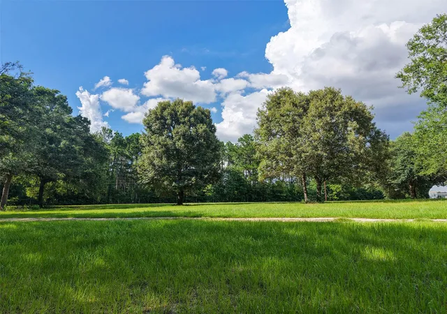 Photo 2 of Land for sale at 2092 Fm 1486, Anderson, TX 77830 | MLS# 58211764 | Listing updated on 2026-07-02