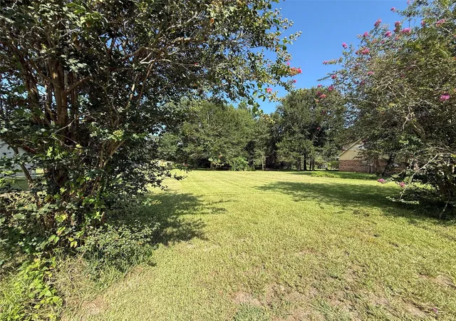 1st image of 00 N Tram Rd N, Vidor, TX 77662 | MLS# 78699722