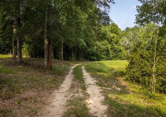 4th image of 5326 Hwy 190W North Side, Woodville, TX 75979 | MLS# 40247667
