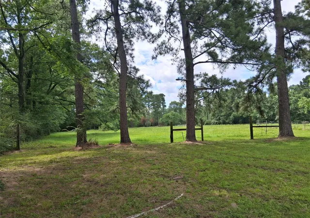 Photo 2 of Land for sale at 1840 Tbd Fm 222 Loop N, Coldspring, TX 77331 | MLS# 17472535 | Listing updated on 2026-08-30