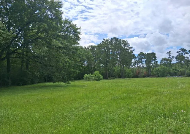 Photo 2 of Land for sale at 1840 Tbd Fm 222 Loop N, Coldspring, TX 77331 | MLS# 17472535 | Listing updated on 2026-08-30