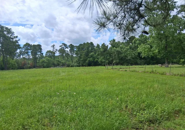 Photo 3 of Land for sale at 1840 Tbd Fm 222 Loop N, Coldspring, TX 77331 | MLS# 17472535 | Listing updated on 2026-08-30