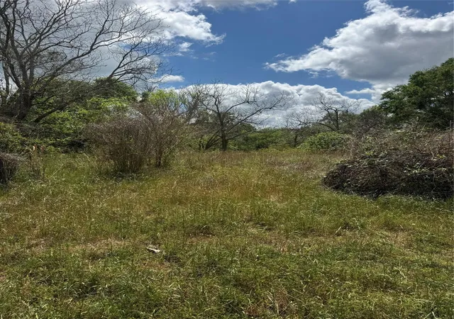 Homes for sale in West Columbia, TX | 0 County Road 898, West Columbia, TX 77486 | MLS# 11569318
