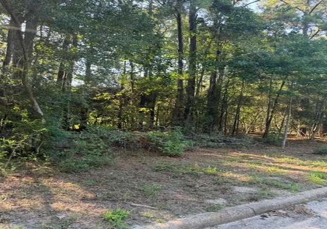 Photo 3 of Land for sale at 0 Indian Ocean Dr, Humble, TX 77346 | MLS# 50131365 | Listing updated on 2026-08-31