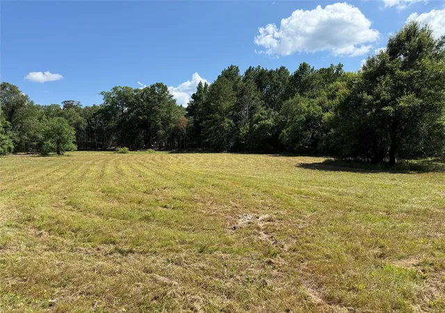 50th image of 245 Pr 8368, Spurger, TX 77660 | MLS# 35823253