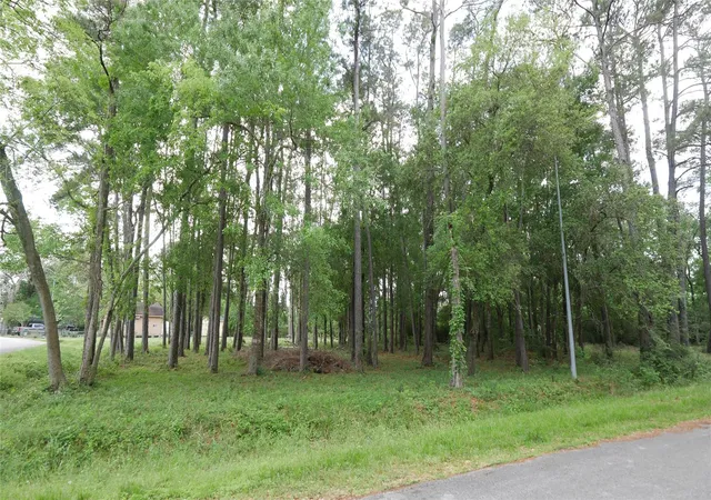 2nd image of 0 Delfan Cir, Humble, TX 77396 | MLS# 66315780