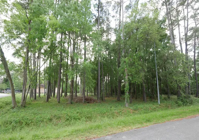 Photo 3 of Land for sale at 0 Delfan Cir, Humble, TX 77396 | MLS# 66315780 | Listing updated on 2026-07-31