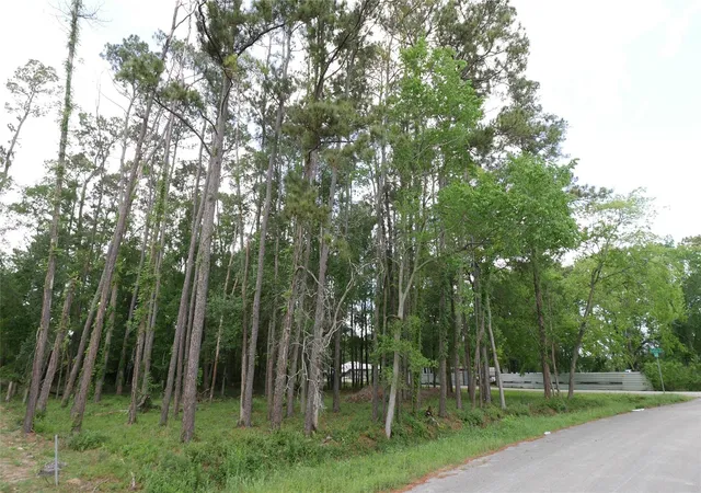 Photo 3 of Land for sale at 0 Delfan Cir, Humble, TX 77396 | MLS# 66315780 | Listing updated on 2026-07-31