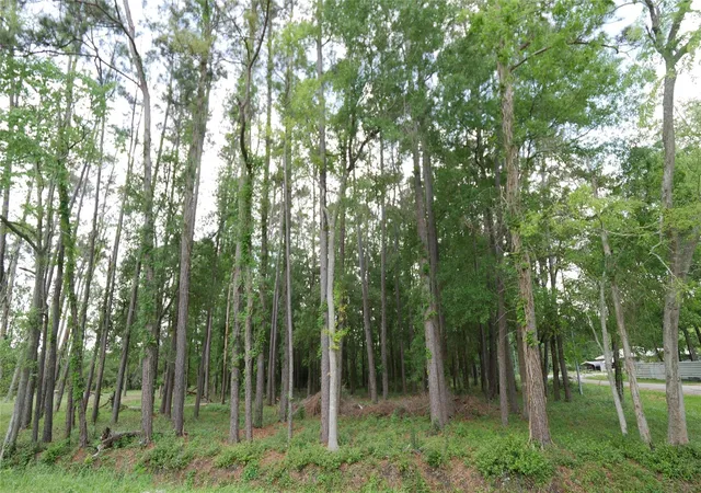 Photo 4 of Land for sale at 0 Delfan Cir, Humble, TX 77396 | MLS# 66315780 | Listing updated on 2026-07-31
