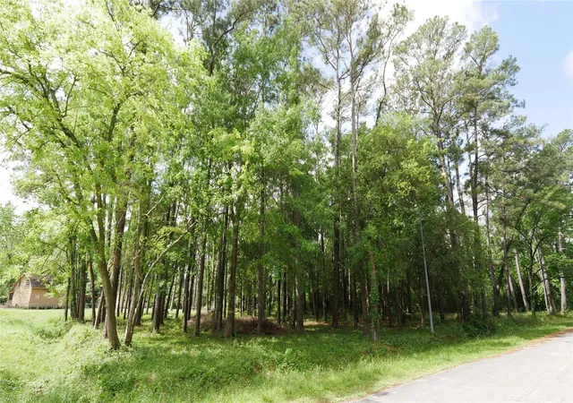 7th image of 0 Delfan Cir, Humble, TX 77396 | MLS# 66315780