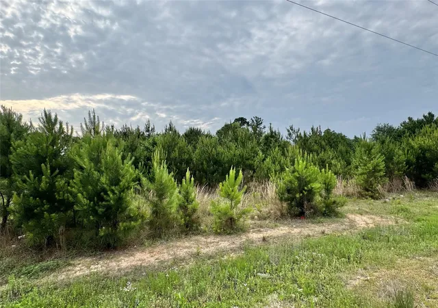 Photo 1 of Land for sale at 576 County Rd 3773, Cleveland, TX 77327 | MLS# 23574647 | Listing updated on 2026-06-02