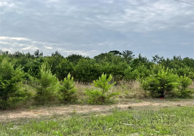 Photo 2 of Land for sale at 576 County Rd 3773, Cleveland, TX 77327 | MLS# 23574647 | Listing updated on 2026-06-02