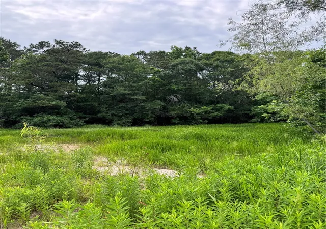 Photo 3 of Land for sale at 576 County Rd 3773, Cleveland, TX 77327 | MLS# 23574647 | Listing updated on 2026-06-02