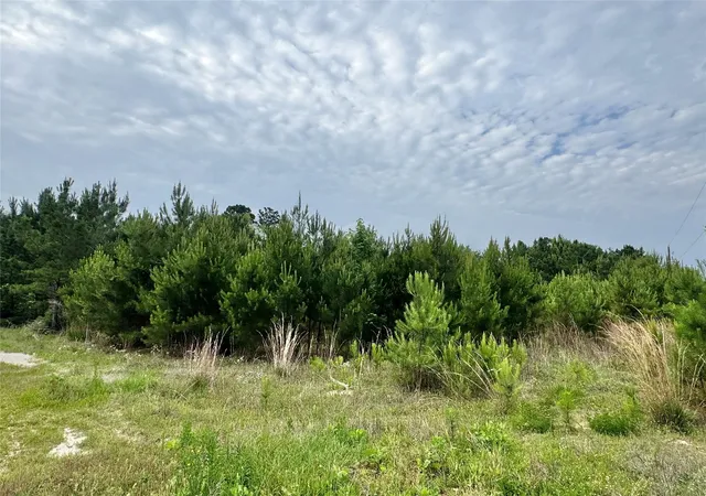 Photo 3 of Land for sale at 576 County Rd 3773, Cleveland, TX 77327 | MLS# 23574647 | Listing updated on 2026-06-02