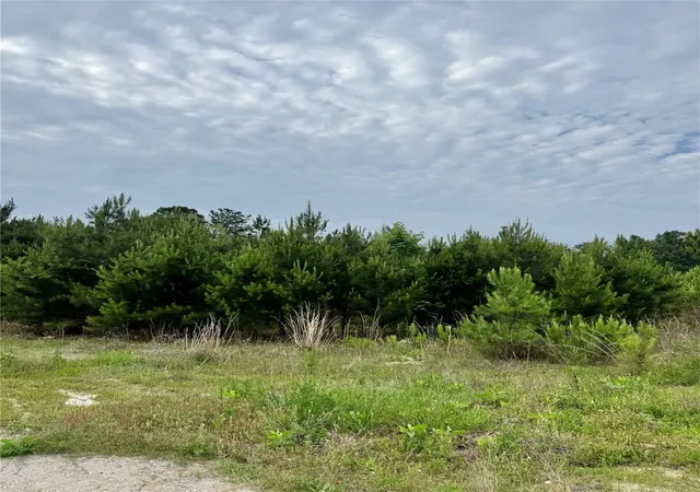 Photo 4 of Land for sale at 576 County Rd 3773, Cleveland, TX 77327 | MLS# 23574647 | Listing updated on 2026-06-02
