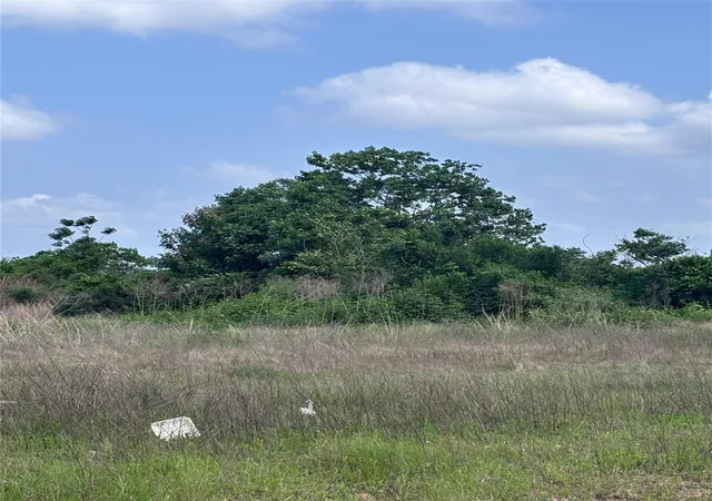 Photo 1 of Land for sale at 2034 Road 5702, Cleveland, TX 77327 | MLS# 92338413 | Listing updated on 2026-06-06