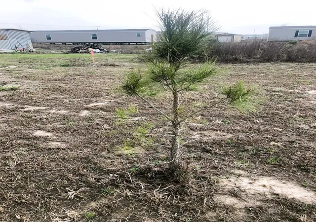 Photo 1 of Land for sale at 1182 Road 5720, Cleveland, TX 77327 | MLS# 48690599 | Listing updated on 2026-08-26