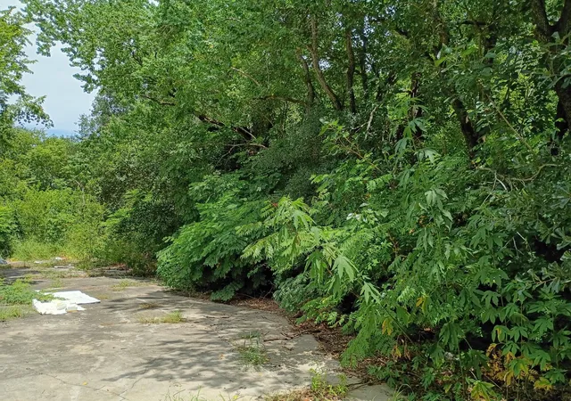 Photo 3 of Land for sale at 6418 Saint Augustine St, Houston, TX 77021 | MLS# 13802496 | Listing updated on 2026-08-19