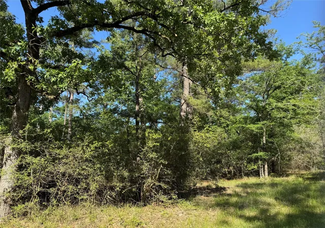Photo 3 of Land for sale at 15 Wood Harbor, Trinity, TX 75862 | MLS# 70326300 | Listing updated on 2026-06-11