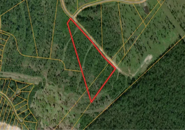 Photo 1 of Land for sale at 00 Eagle Fls Blvd, Trinity, TX 75862 | MLS# 39386175 | Listing updated on 2026-05-11