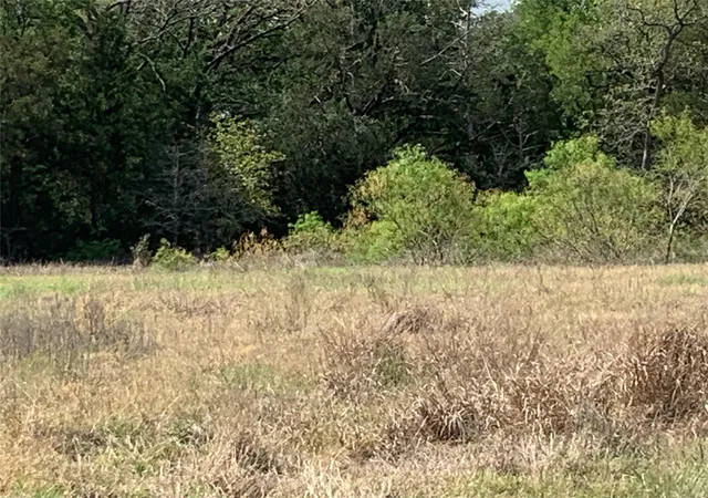 Homes for sale in Ledbetter, TX | Tbd Goehring Rd, Ledbetter, TX 78946 | MLS# 16291899