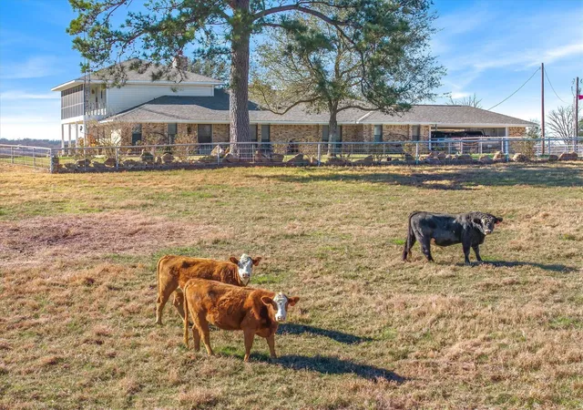 Photo 1 of Land for sale at 1700 Fm 1995, Van, TX 75790 | MLS# 10111241 | Listing updated on 2026-01-12
