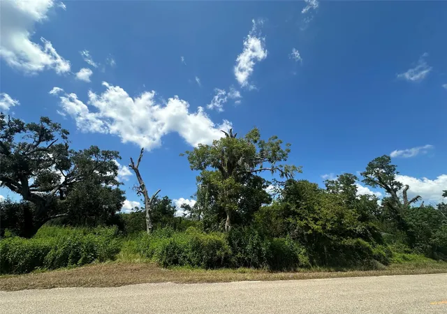 Photo 1 of Land for sale at 1665 County Road 310, Brazoria, TX 77422 | MLS# 95210611 | Listing updated on 2025-10-24