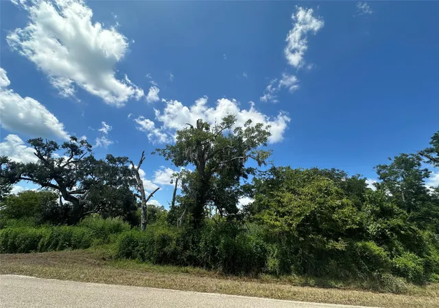 Photo 2 of Land for sale at 1665 County Road 310, Brazoria, TX 77422 | MLS# 95210611 | Listing updated on 2025-10-24