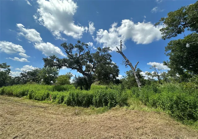 Photo 3 of Land for sale at 1665 County Road 310, Brazoria, TX 77422 | MLS# 95210611 | Listing updated on 2025-10-24