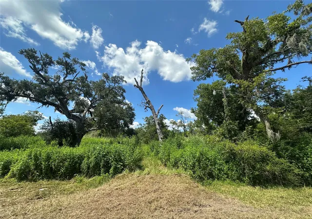 Photo 3 of Land for sale at 1665 County Road 310, Brazoria, TX 77422 | MLS# 95210611 | Listing updated on 2025-10-24