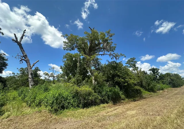 Photo 4 of Land for sale at 1665 County Road 310, Brazoria, TX 77422 | MLS# 95210611 | Listing updated on 2025-10-24