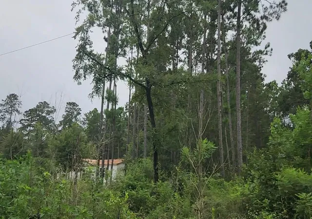 Photo 1 of Land for sale at Lot 11 Scarlet Oak Dr, Plantersville, TX 77363 | MLS# 4239100 | Listing updated on 2026-07-16