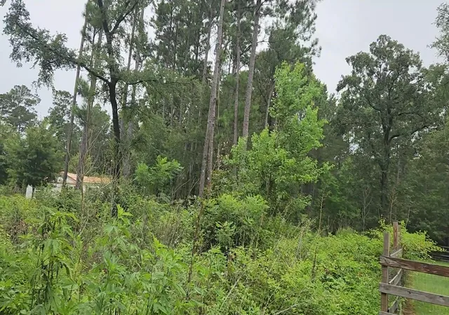 Photo 21 of Land for sale at Lot 11 Scarlet Oak Dr, Plantersville, TX 77363 | MLS# 4239100 | Listing updated on 2026-07-16
