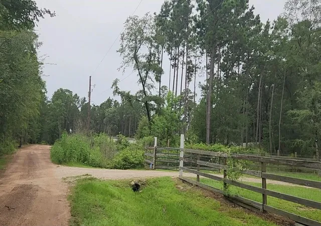 Photo 2 of Land for sale at Lot 11 Scarlet Oak Dr, Plantersville, TX 77363 | MLS# 4239100 | Listing updated on 2026-07-16