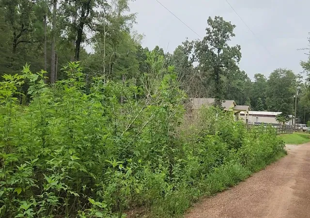Photo 3 of Land for sale at Lot 11 Scarlet Oak Dr, Plantersville, TX 77363 | MLS# 4239100 | Listing updated on 2026-07-16