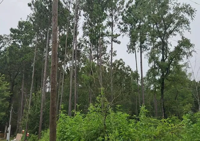 Photo 4 of Land for sale at Lot 11 Scarlet Oak Dr, Plantersville, TX 77363 | MLS# 4239100 | Listing updated on 2026-07-16