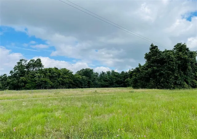 Photo 3 of Land for sale at 1ac Hill St, Buffalo, TX 75831 | MLS# 30924986 | Listing updated on 2025-03-21