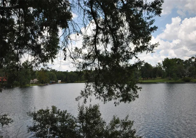 3rd image of 12960 Royal Shores Dr, Conroe, TX 77303 | MLS# 53742873