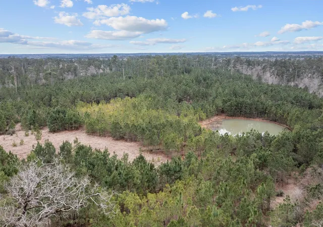 Photo 1 of Land for sale at 9422 Farm To Market 62, Corrigan, TX 75939 | MLS# 56506368 | Listing updated on 2026-08-20
