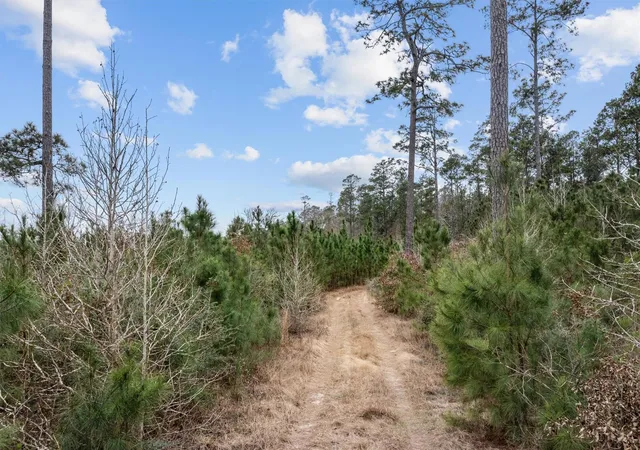 Photo 2 of Land for sale at 9422 Farm To Market 62, Corrigan, TX 75939 | MLS# 56506368 | Listing updated on 2026-08-20