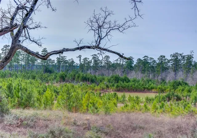 Photo 3 of Land for sale at 9422 Farm To Market 62, Corrigan, TX 75939 | MLS# 56506368 | Listing updated on 2026-08-20