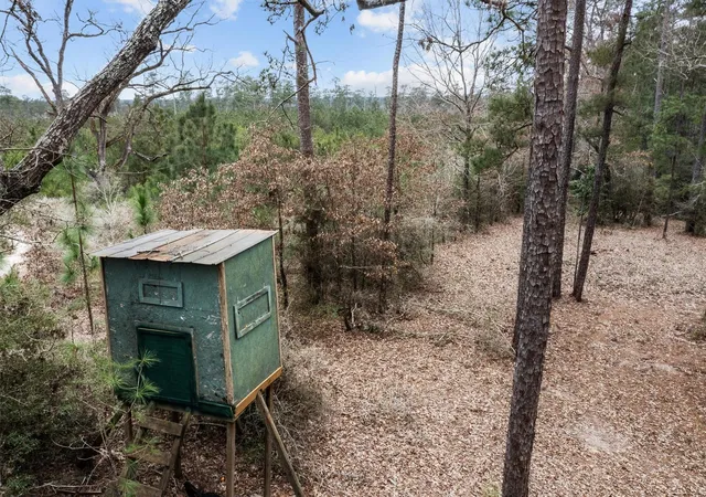 Photo 3 of Land for sale at 9422 Farm To Market 62, Corrigan, TX 75939 | MLS# 56506368 | Listing updated on 2026-08-20