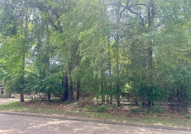 Photo 3 of Land for sale at 3310 Dunes Cir, Montgomery, TX 77356 | MLS# 71945002 | Listing updated on 2026-09-02
