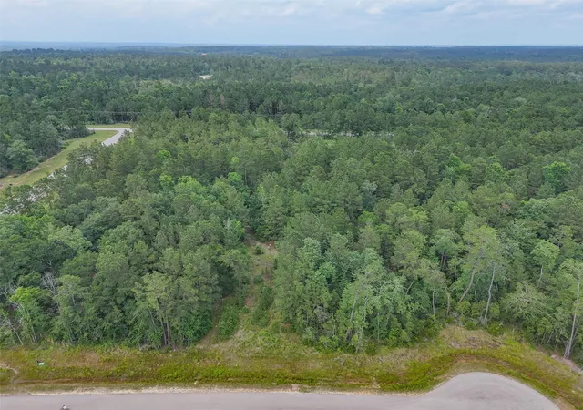 Photo 3 of Land for sale at 106 Eagle Run Rd, Willis, TX 77378 | MLS# 47067911 | Listing updated on 2026-07-17