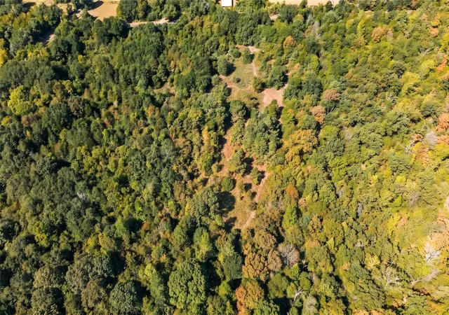 Photo 3 of Land for sale at Tbd 0 Fcr 290, Oakwood, TX 75855 | MLS# 93950450 | Listing updated on 2026-08-31