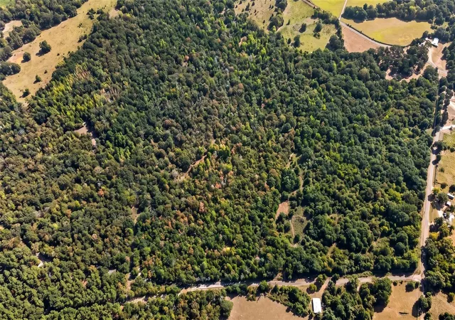 Photo 4 of Land for sale at Tbd 0 Fcr 290, Oakwood, TX 75855 | MLS# 93950450 | Listing updated on 2026-08-31