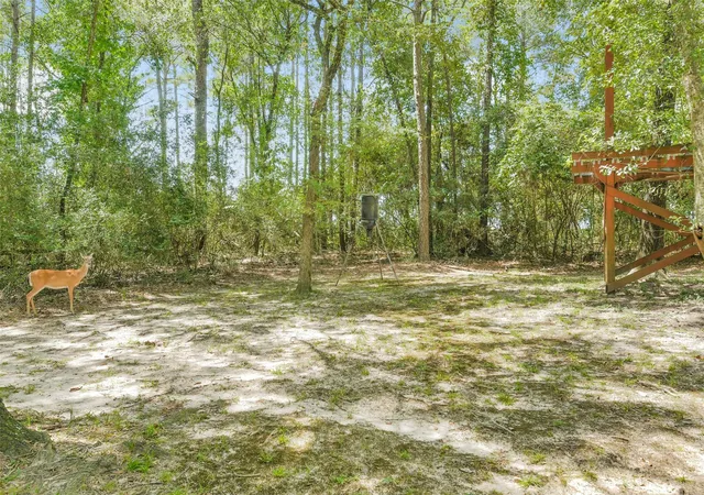 5th image of 4046 Highland Pass, Montgomery, TX 77316 | MLS# 98574282
