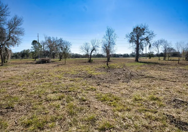 Photo 3 of Land for sale at 0 Cr 510, Brazoria, TX 77422 | MLS# 53733547 | Listing updated on 2026-02-03